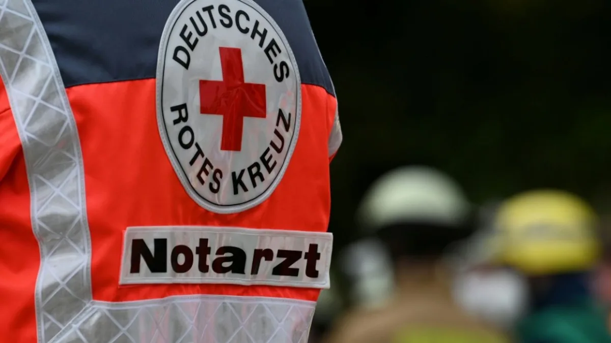 Kind bei Forstarbeiten in Bayern von umstürzendem Baum erschlagen