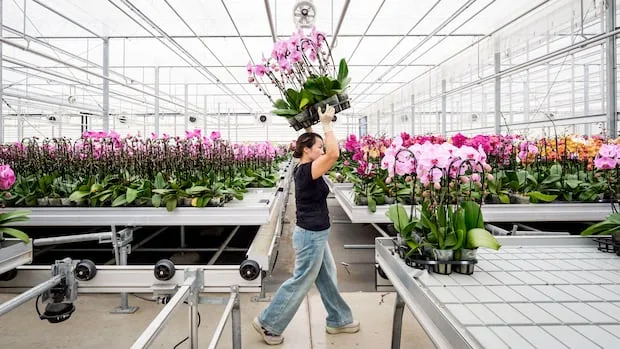 IN PHOTOS | New wave of U.S. tariffs threatens these Canadian companies