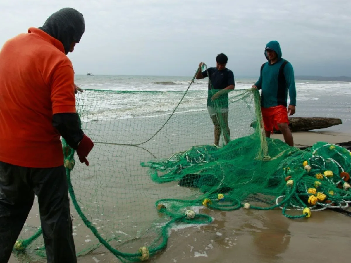 Un El Niño exceptionnel entraîne des températures inédites dans le Pacifique