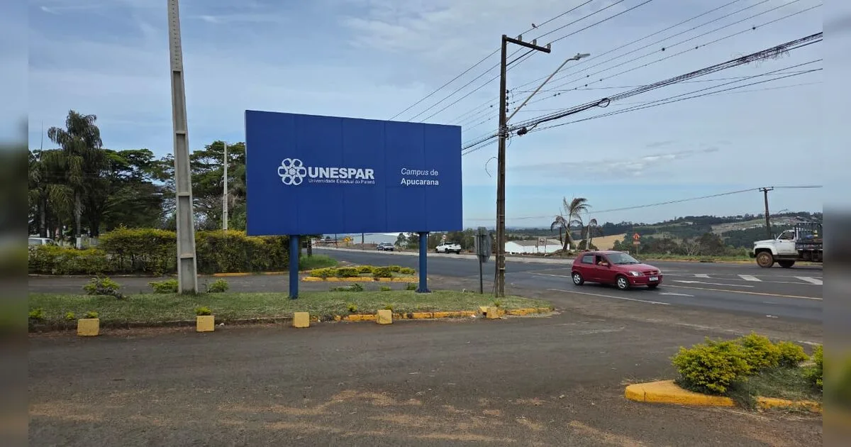 Salto de Apucarana no ensino superior