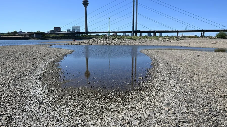 Niedrigwasser: Negativer Pegelstand des Rheins in Düsseldorf