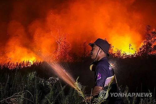 인니, 말레이·싱가포르 '산불 진화 지원 제안' 환영…협력 추진