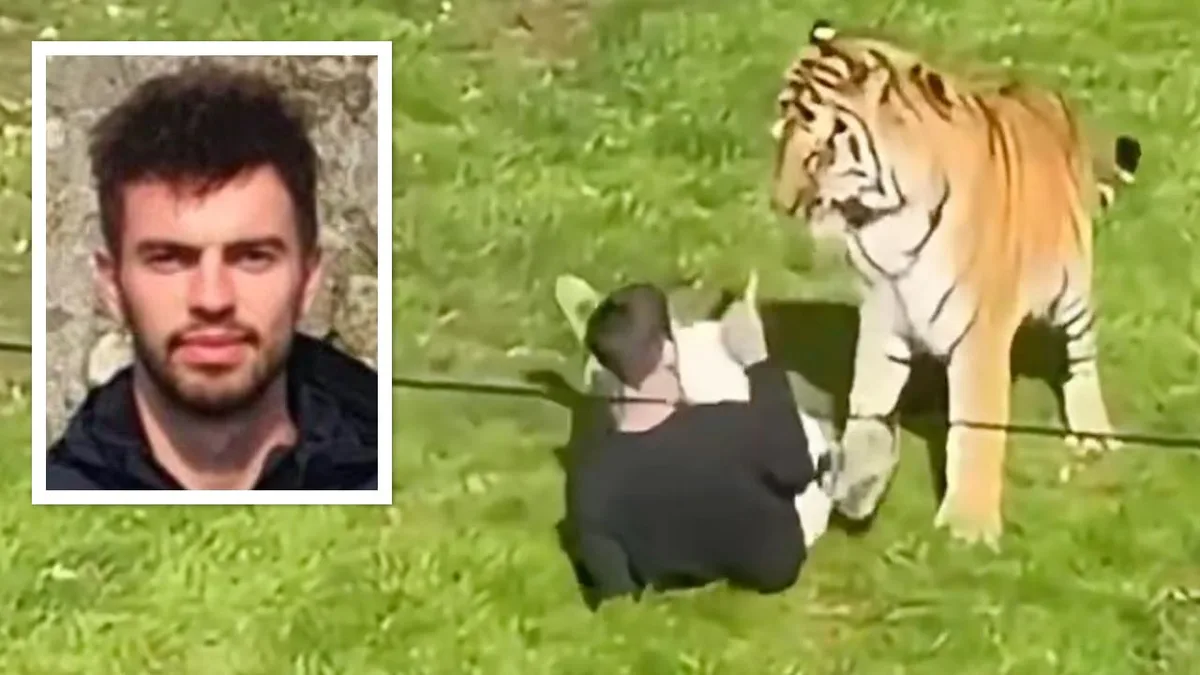 Eltern nach tödlicher Tiger-Attacke - „Warum hat unser großartiger Sohn das getan?“