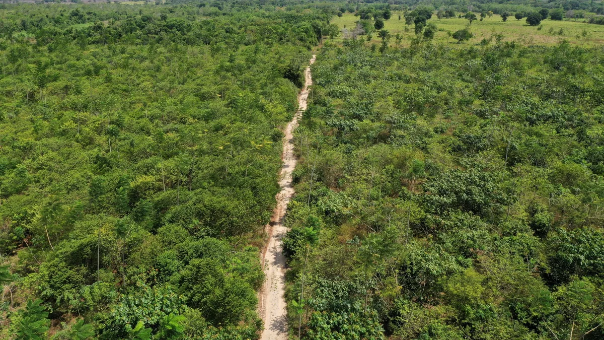 Desmatamento na Amazônia cai ao menor nível desde 1988, aponta Inpe