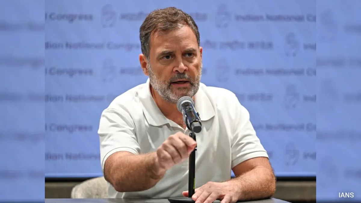 "If It's So Serious...": Supreme Court To Agencies In Rahul Gandhi Assets Case