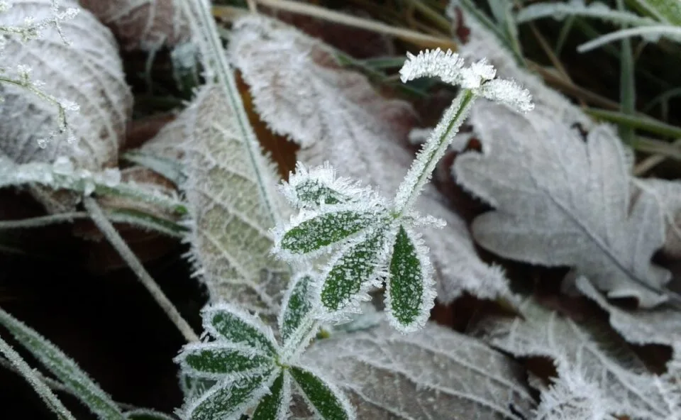 Nova onda de frio pode levar temperatura a -7°C em sete estados