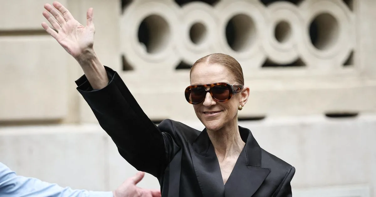 « Cela revient à reverser de l’argent public à des mastodontes américains » : la scène musicale française veut une part du jackpot Céline Dion