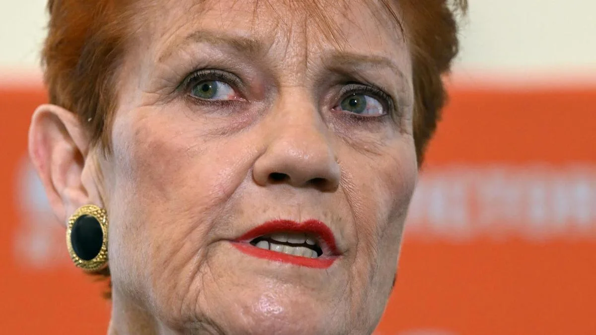 Pauline Hanson downplays One Nation candidate’s Japan links