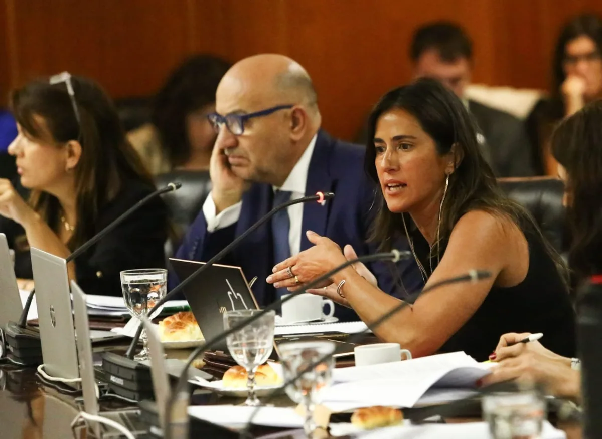 El juez Barroetaveña y la abogada Jimena de la Torre desistieron de las acciones judiciales para buscar una reelección en el Consejo