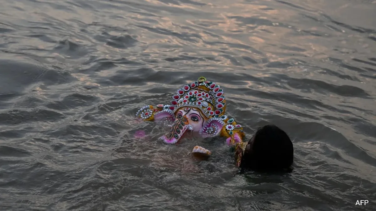 No Ganesh Idol Immersion In Water Bodies From 2027: Tamil Nadu To Green Court