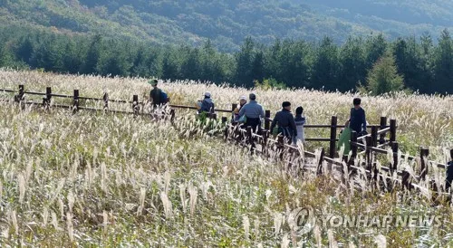 울산 산악사고 3건 중 1건 가을철 집중…"일몰 전 하산해야"