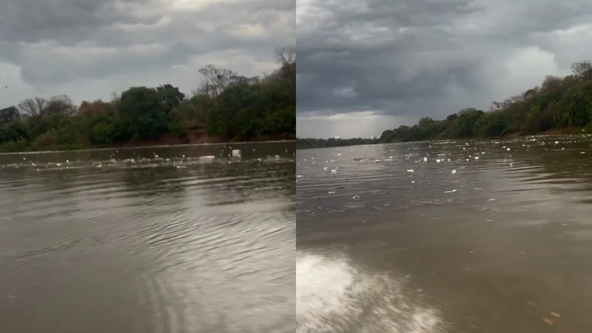 Vídeo: chuva intensa arrasta lixo das ruas e deixa Rio Cuiabá tomado por resíduos
