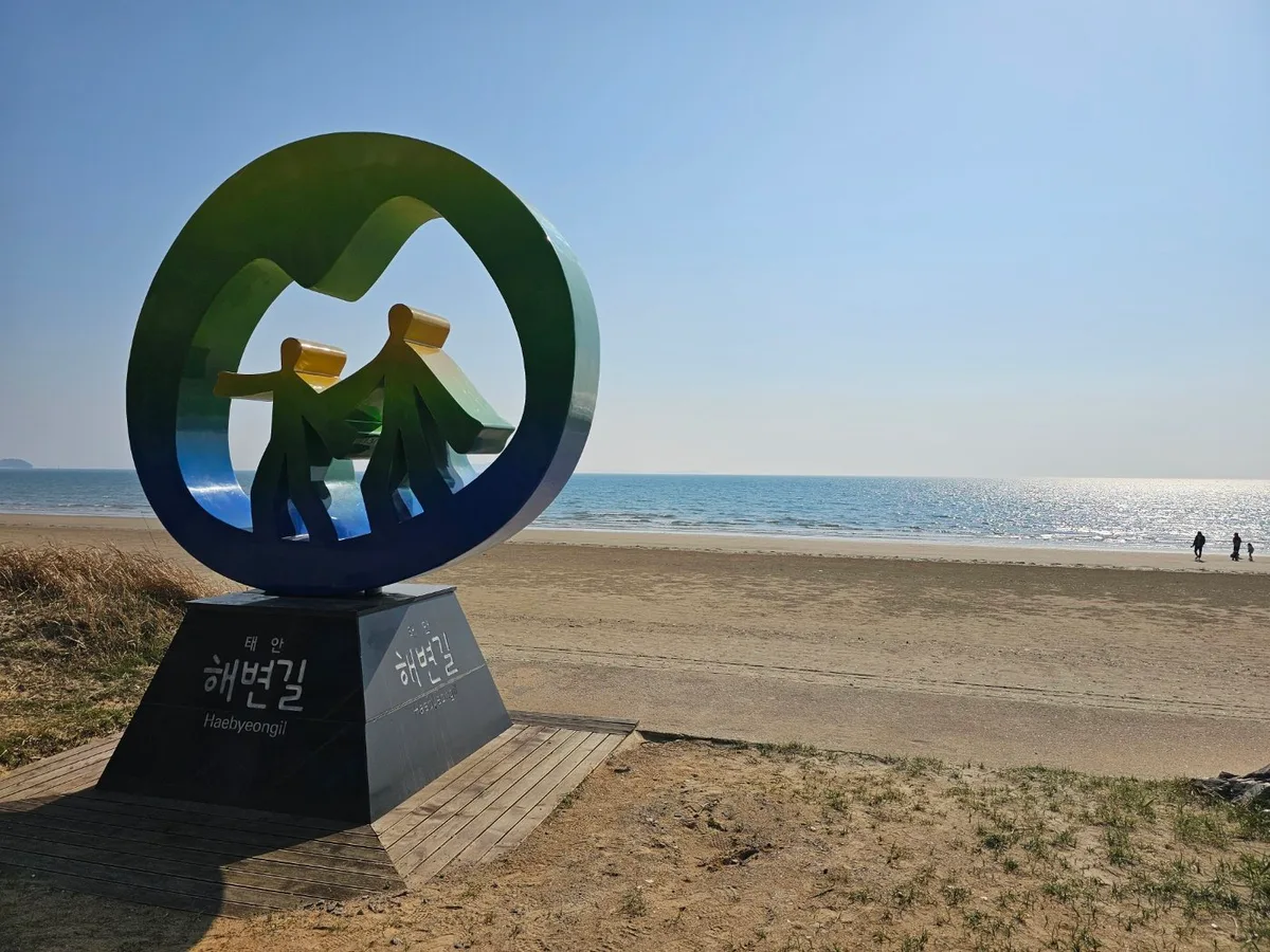 “산책 나갔는데 연락이 안된다”…태안 몽산포서 30대 숨진 채 발견