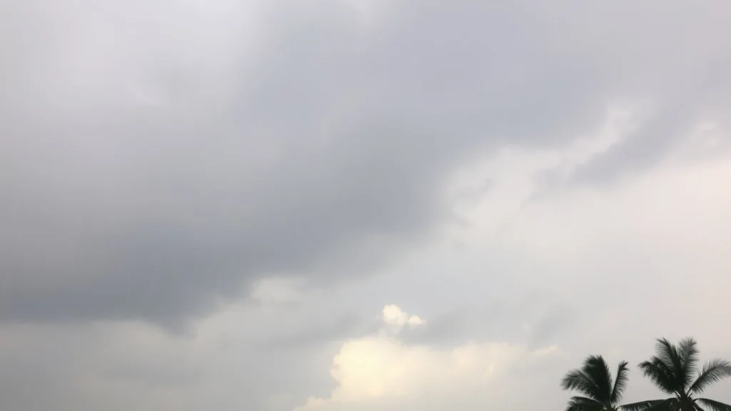 ¿Cómo estará el clima en Miami este lunes 24 de agosto?