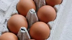 One dead and hundreds ill in UK salmonella outbreak