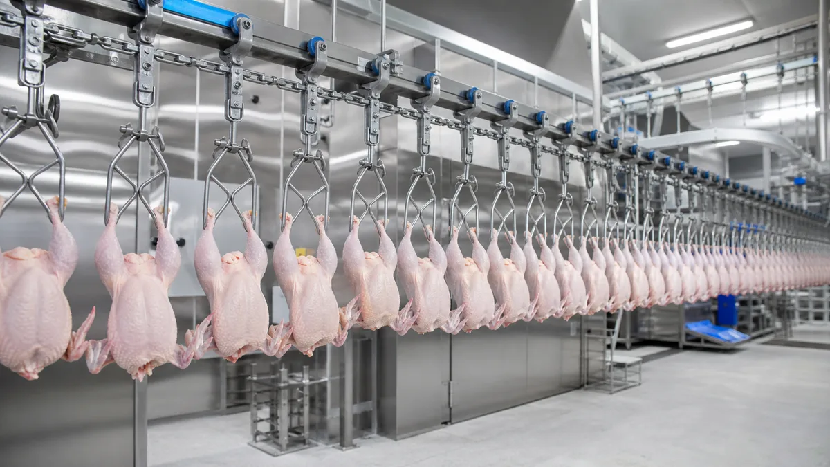 Brasil bate recorde nas exportações de carne de frango em agosto