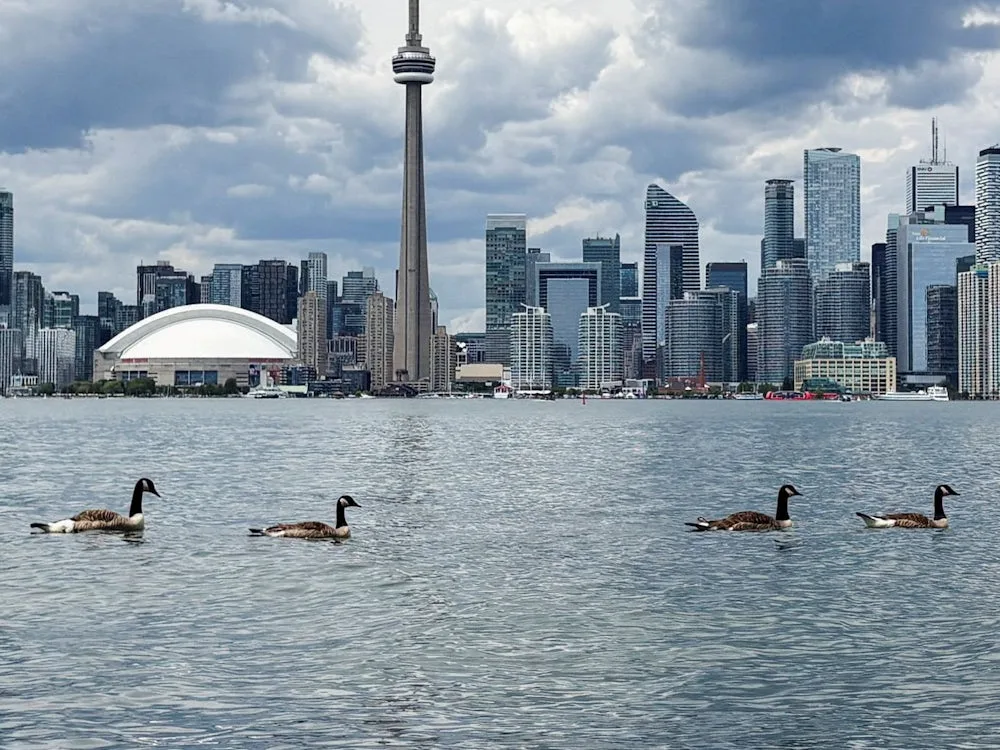 USA: Trump will Lake Ontario in „Lake America“ umbenennen