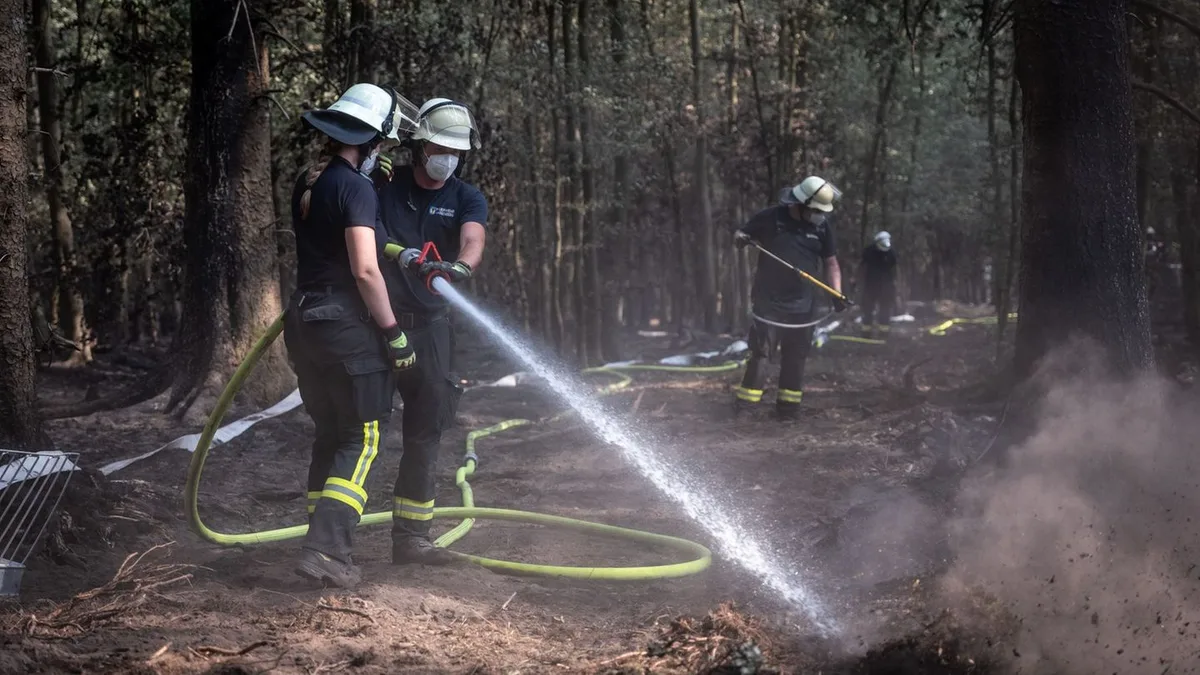 Waldbrände: Lage im Hürtgenwald weiter unter Kontrolle