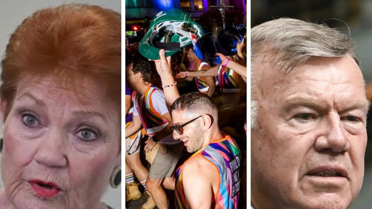 One Nation MP David Farley had ‘great time’ at mardi gras, likens One Nation to United Nations