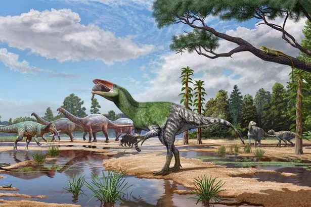 New dinosaur species which preyed on humans discovered from Isle of Wight fossil 'overlooked' for 100 years