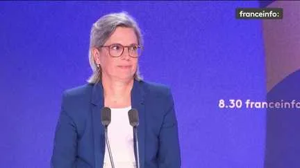 Présidentielle 2027 : "Je ne comprends pas la ligne" de Marine Tondelier, critique la députée écologiste Sandrine Rousseau