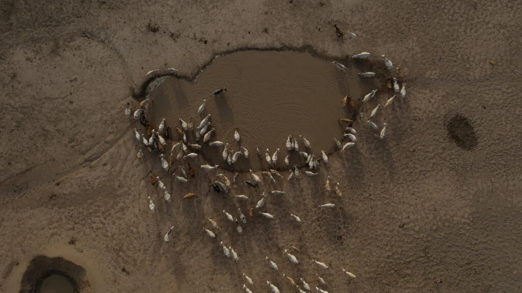 Antes da COP17 sobre desertificação, pastores se reúnem na Mongólia para proteger suas terras