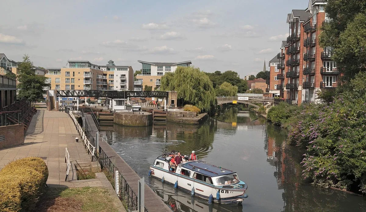 Dead animals are being found in a London canal - the reasons why are shocking locals