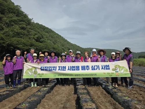 '어려운 이웃 돕자' 울주 복지단체, 김장용 배추 1천포기 심어
