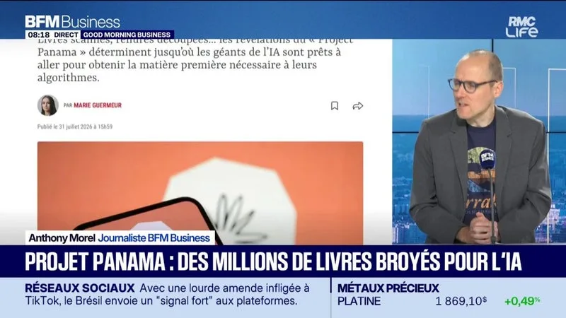 Projet Panama : des millions de livres broyés pour l'IA