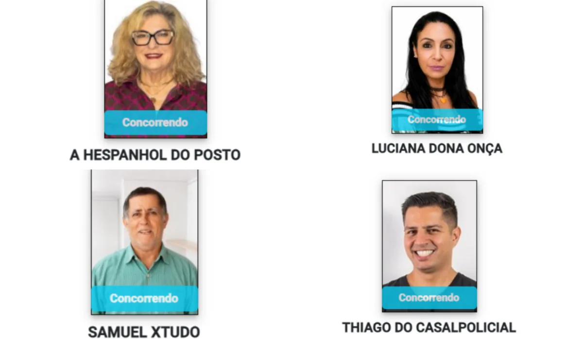 De “Pirata do Amor” a “Dona Onça”: os nomes curiosos nas urnas no ES