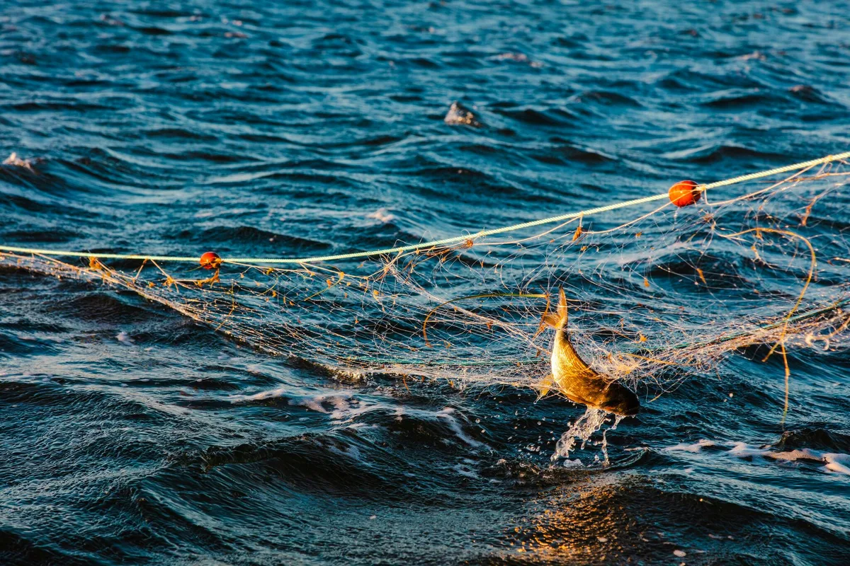 Malgré un accord sur le carburant, l’avenir de la pêche en Méditerranée reste en suspens