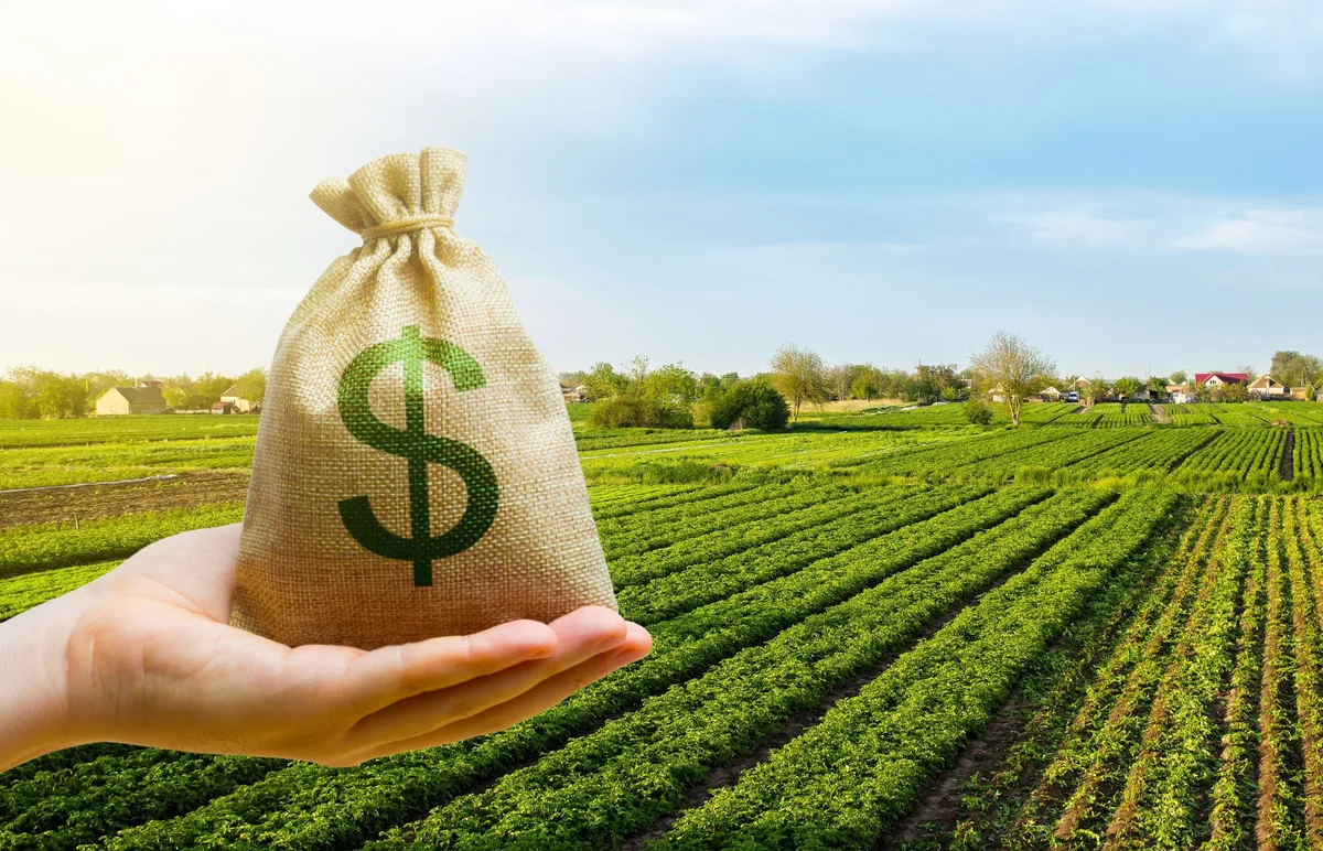 Retenciones: cuánto aportará el agro y por qué el segundo semestre será clave