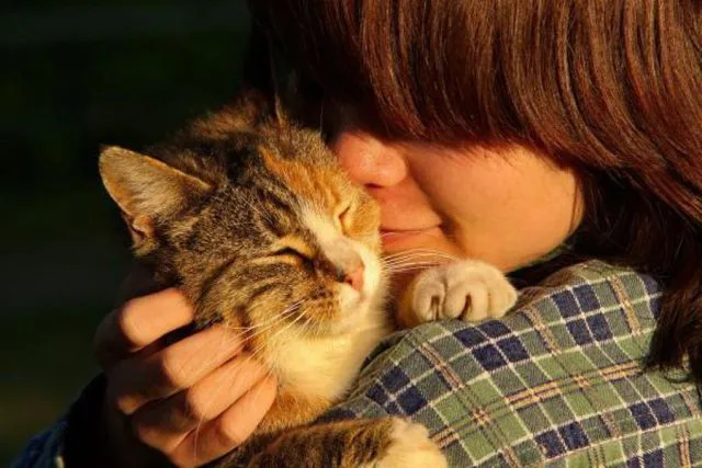Más perros y gatos en casa y menos bebés: tendencia en España