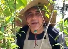 Fim de inverno é o momento certo para preparar seu jardim para a primavera; veja dicas do “Mago Jardineiro”