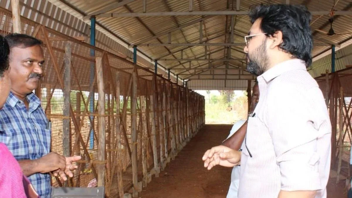 Tenkasi District Collector inspects onion storage points ahead of northeast monsoon