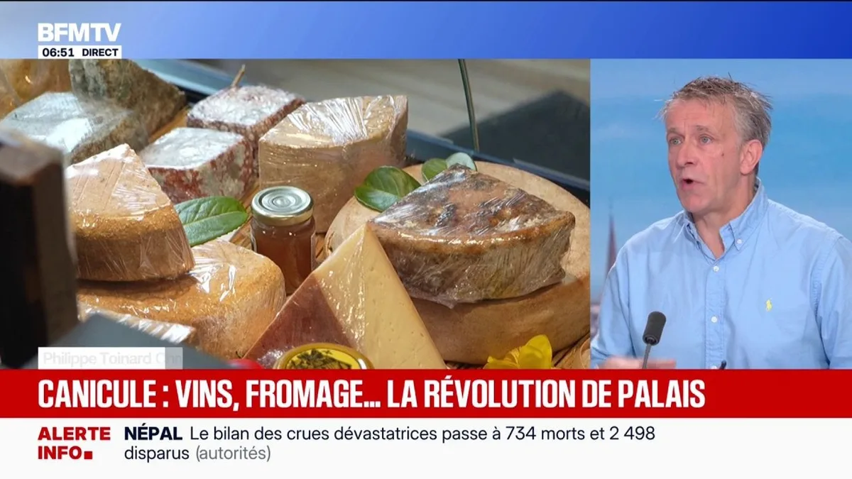 C'EST VOTRE VIE - En raison de la canicule qui a affecté les récoltes, certains producteurs de vin et de fromage souhaitent que les cahiers des charges soient révisés
