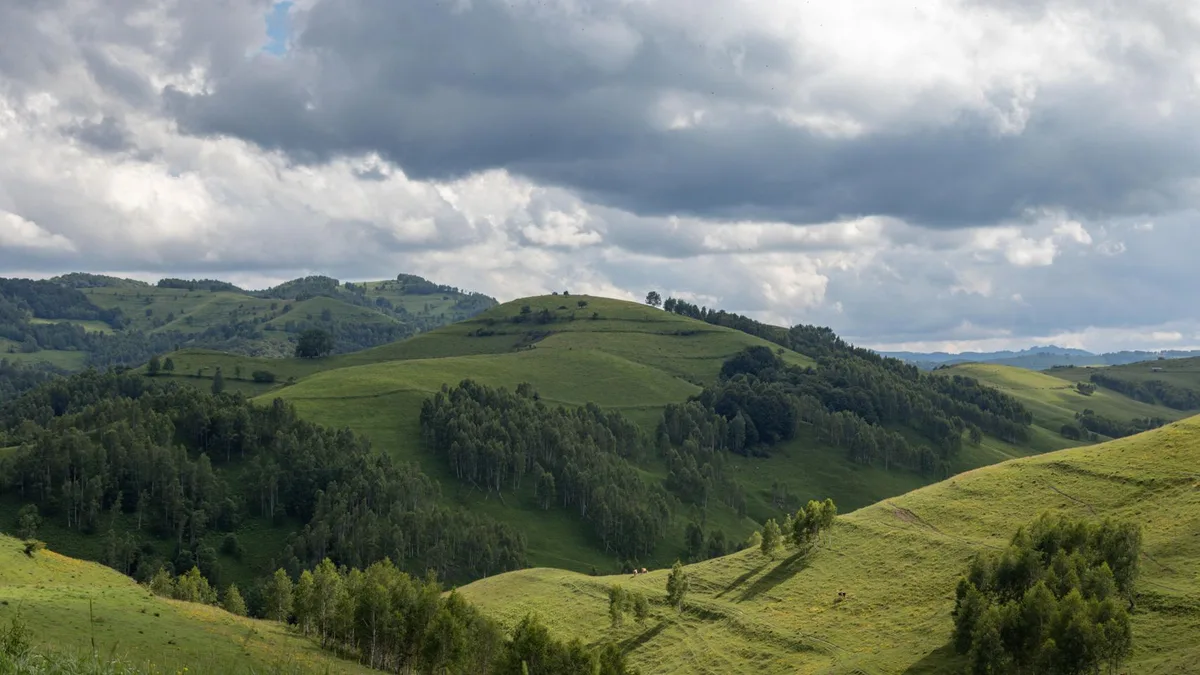 Ya es oficial: una finca agrícola abandonada en España puede terminar considerada legalmente monte