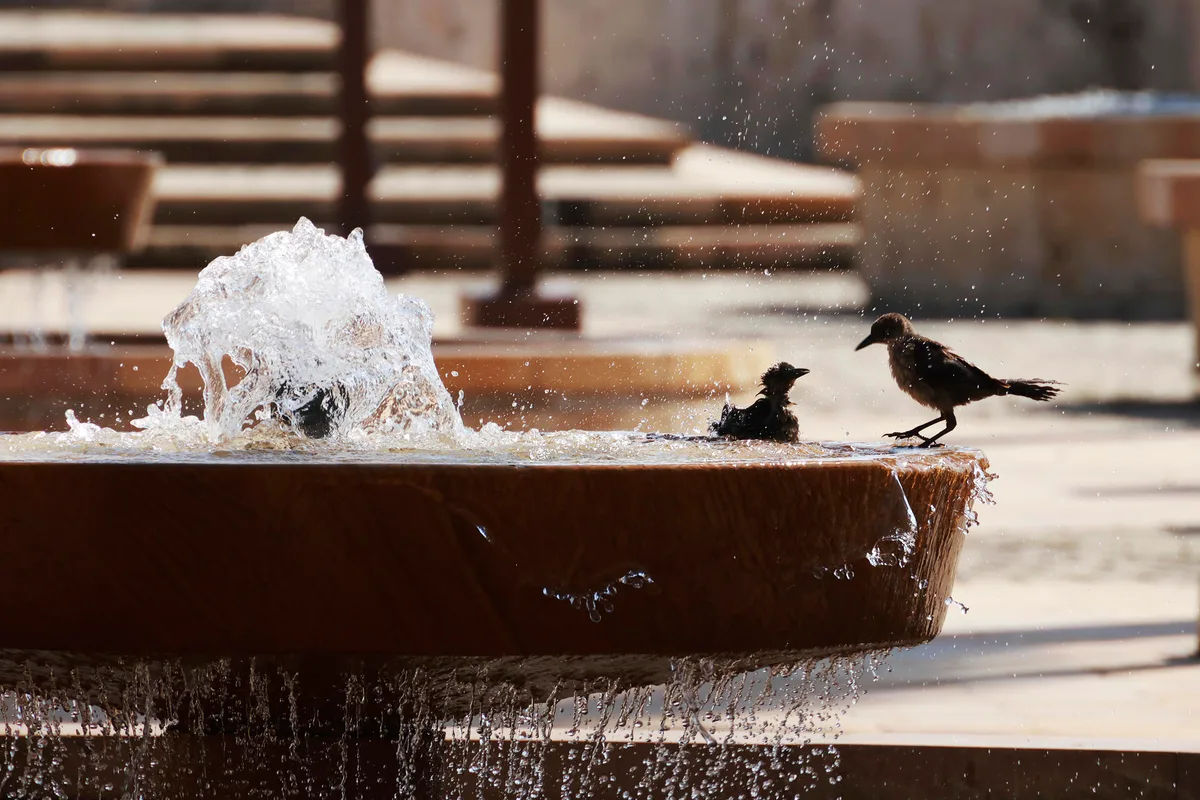 El Niño dispara los termómetros en el Caribe y amenaza a la población y el agua