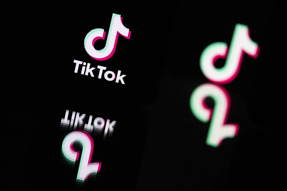 Proteção de crianças no TikTok deve prevalecer sobre interesses da plataforma, dizem especialistas