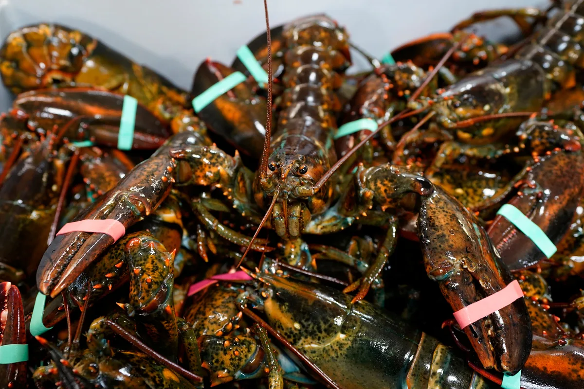 Ottawa removes seafood and fish products from countertariff list