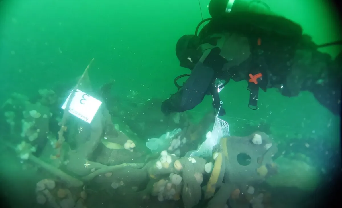 Hallan señales de contaminación alrededor de un submarino alemán de la Primera Guerra Mundial en el Mar del Norte