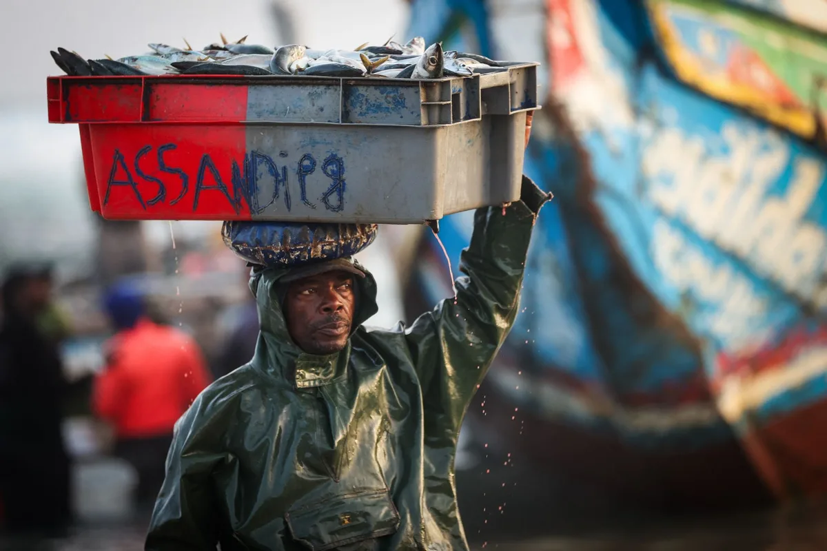« Du Sénégal à nos assiettes en passant par la Norvège : qui profite vraiment de la pêche mondiale ? »