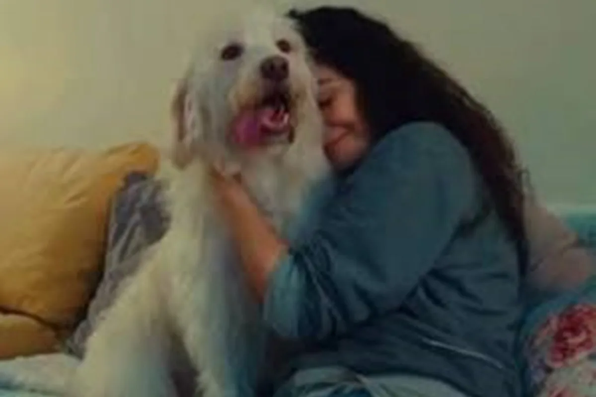 Letícia Sabatella emociona ao reencontrar seu cãozinho, Bertoldo: "Alívio"