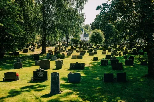 Disturbing behaviour at cemetery: Men caught engaging in inappropriate acts