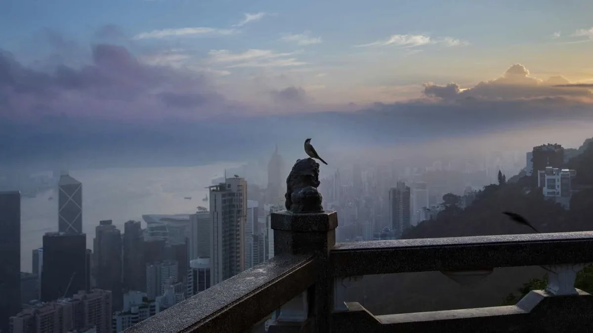 Fotografie: Hongkong ganz unten – Bilder ohne Häuserschluchten