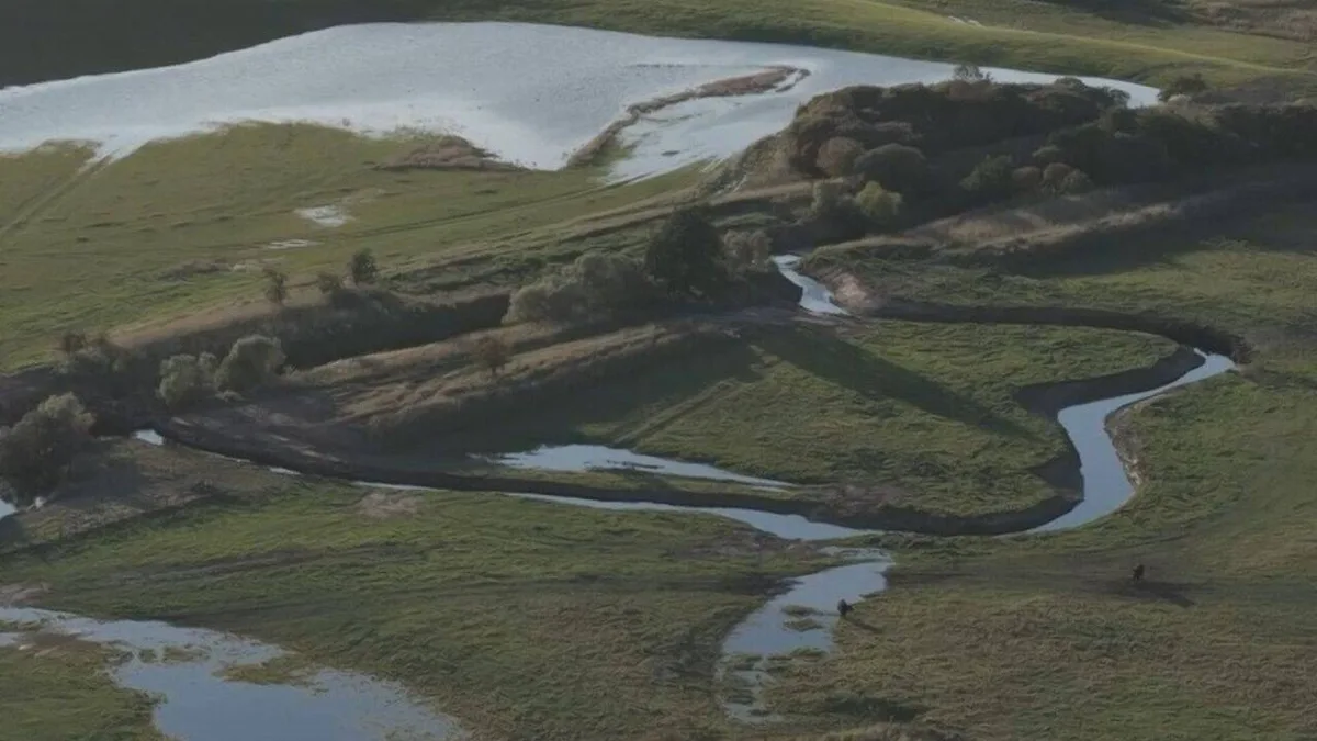 Salmon returns as England restores lost mile of a river by centuries-old maps