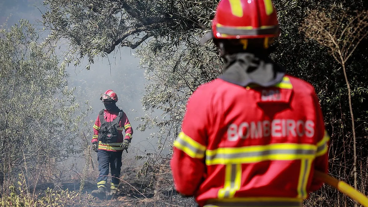Incêndio em Valongo. Quatro feridos, entre os quais dois bombeiros, um com gravidade, e casas em risco