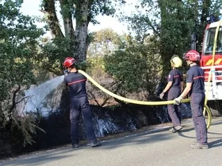 En pleine canicule, il est suspecté d’avoir allumé des incendies pour faire fuir sa belle-mère : un Vendéen condamné