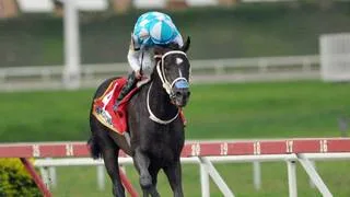 Mira la estadística que debe superar Pontevecchio para el tercer paso de la triple corona nacional