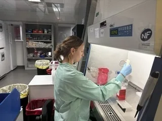 « Au confluent de l’ingénierie, de la médecine et de la biologie », une étude à l’assaut des cancers précoces du sein